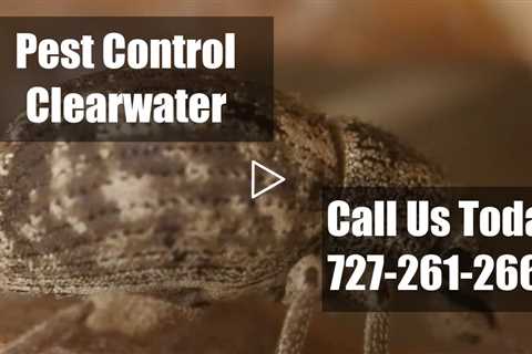 Pest Control Clearwater Florida - 24 Hour Emergency Residential Exterminator Clearwater FL