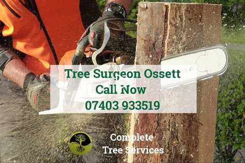 Tree Surgeon Ossett WF5 Stump Root And Tree Removal Pruning And Felling Tree Surgeon Near Me