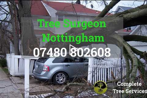 Tree Surgeon Nottingham Root & Stump Removal Crown Reduction And Tree Dismantling