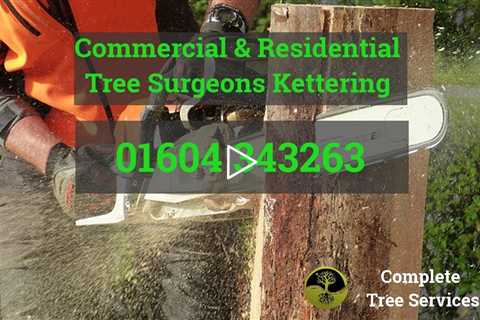 Tree Surgeon Kettering  Stump Removal Root Removal Tree Surgery  And Other Tree Services Kettering