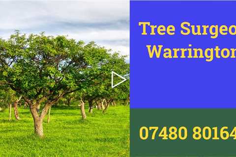 Tree Surgeon Warrington Root And Stump Removal Tree Removal Tree Felling & Trimming Services Near Me