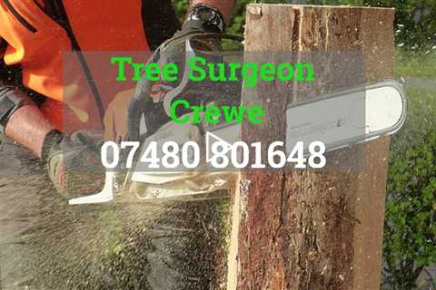 Tree Surgeon Crewe Local Tree Services & Tree Surgery Company - Tree Surgeons Near Me