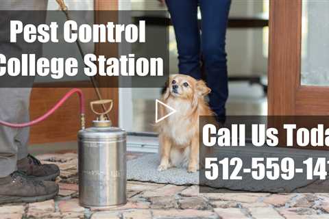 Exterminators College Station TX Domestic Bed Bug Treatment & Termite Control Emergency Pest Control