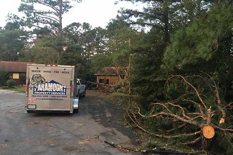 Professional Tree Removal Warrenton VA | Culpeper | Gainesville | Manassas