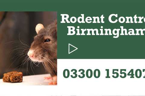 Birmingham Rodent Pest Control - Emergency Commercial & Residential Exterminator