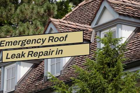 Emergency Roof Leak Repair in Buffalo NY
