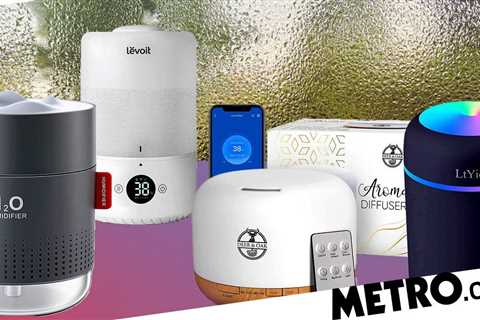 Should you get a humidifier?  Here’s what an expert says and best buys