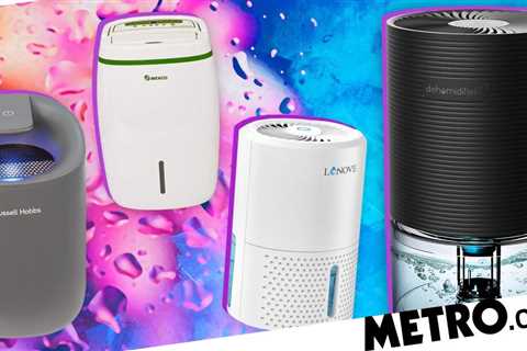 Do you need a dehumidifier?  These are the best you can buy on Amazon