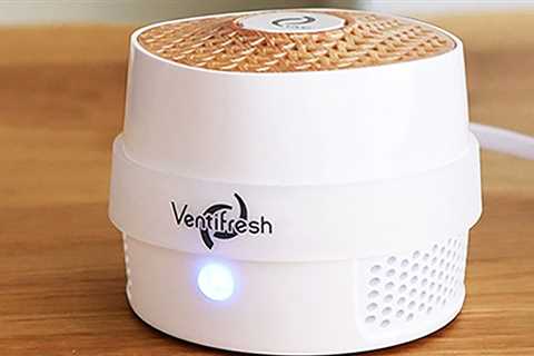 Get rid of pet odors with this portable air purifier |  The Weather Channel – Articles from The..