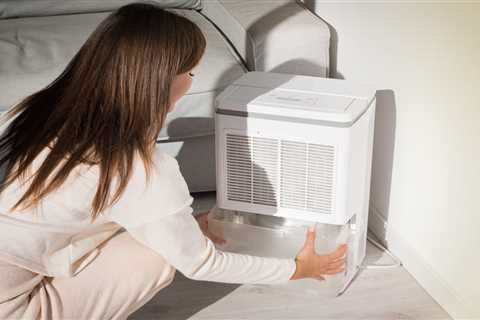 Thinking about buying a dehumidifier?  Expert advice on mold and moisture