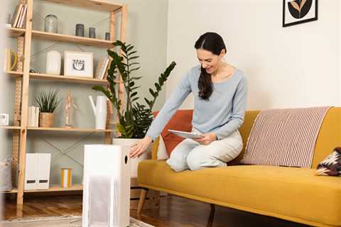 What Does An Air Purifier Do?