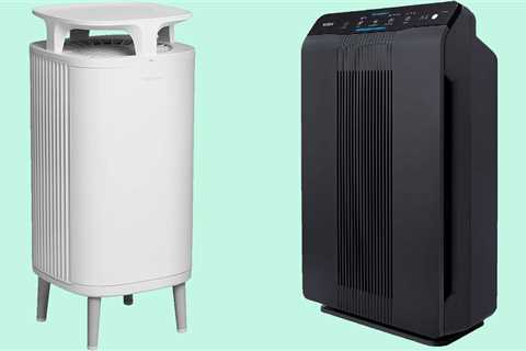 We have a new favorite air purifier for allergy sufferers
