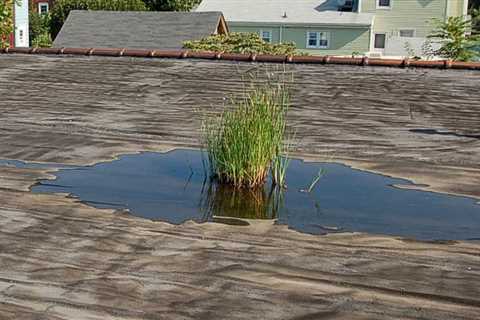 Commercial Roof Leak Repair in Rochester NY