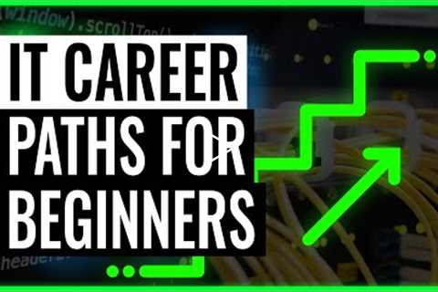 IT career paths - the best for beginners