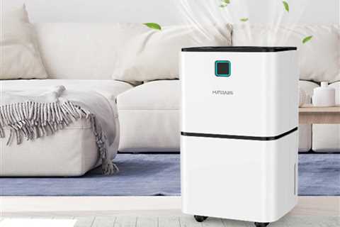 Buyers say this best-selling dehumidifier gets rid of moisture in “two hours.”