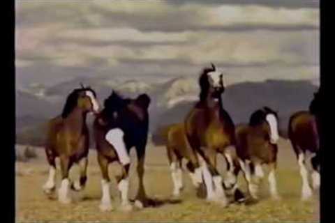 Top 10 ''''Budweiser'''' Super Bowl commercials 1