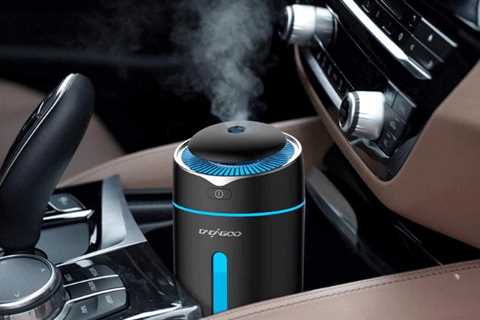 The automotive air purifier market will see the highest growth in the world