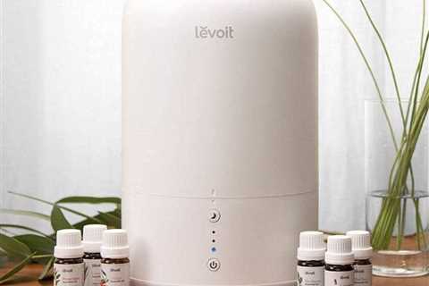 Best Humidifier 2022 – Diffusers and Humidifiers to Reduce Dry Air at Home