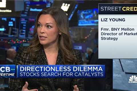 A break in the labor market and consumer spending could come next year, says SoFi''''s Liz Young