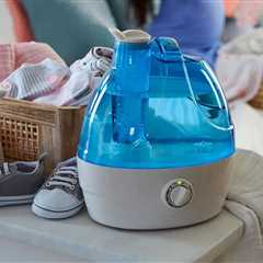 Amazon’s best-selling humidifier is a “lifesaver” for winter drought and is on sale for less than..