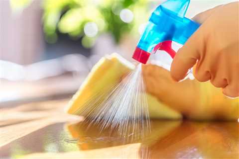 Professional House Cleaning Services In Hailey ID