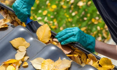 Gutter Cleaning Olveston