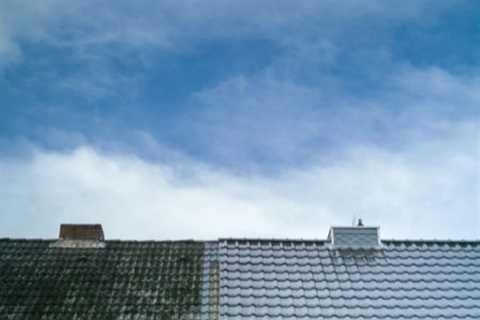 Roof Cleaning Temple