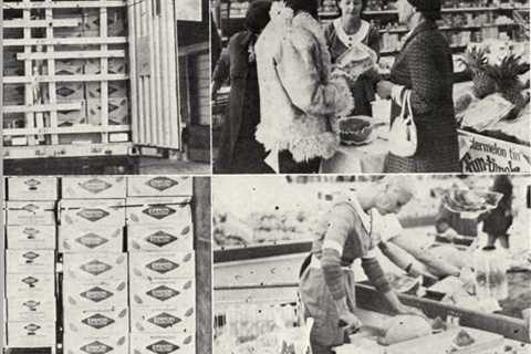 FreightWaves Flashback 1971: ‘Breakthrough’ reported in test shipment of melons to UK stores