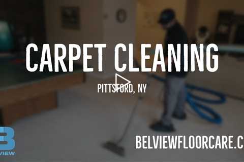 Belview Floorcare Carpet Cleaning // Pittsford, NY