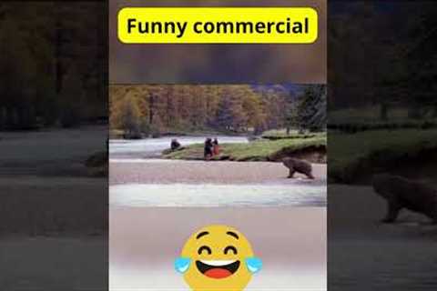 Man fighting bear commercial😂 #shorts #funnyanimals #bear #trynottolaugh..