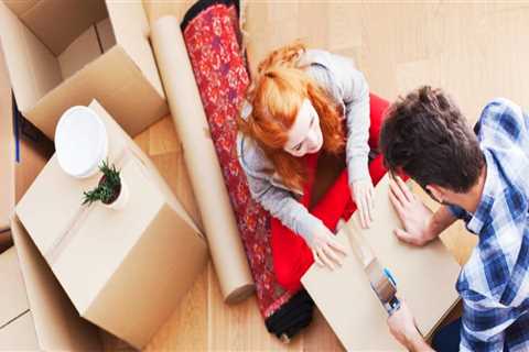 Do Movers Prefer Boxes or Bags? An Expert's Perspective