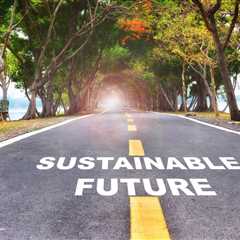 The Role of Travel Advisors in Advancing Sustainability