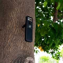 ePlant TreeTags – A Technology the Lorax Can Love