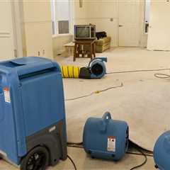 The Importance of Quick Response in Water Damage Restoration
