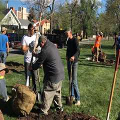Making a Difference in Colorado Springs: Requirements for Participating in Service Projects