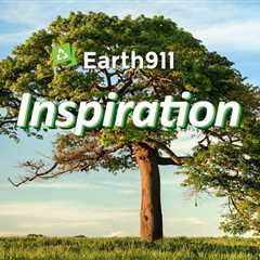 Earth911 Inspiration: A Green Future or None at All