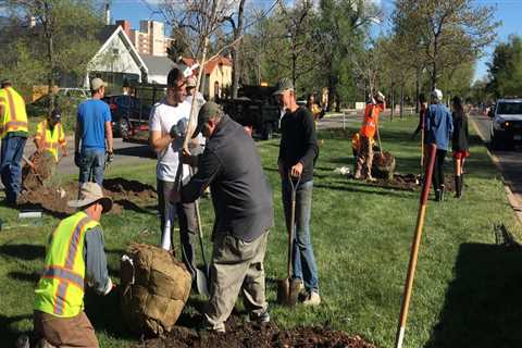 Making a Difference in Colorado Springs: Requirements for Participating in Service Projects