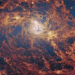 James Webb Space Telescope gazes into a galactic garden of budding stars (image)