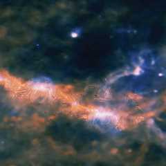 How Magnetic Fields Control Galactic Growth