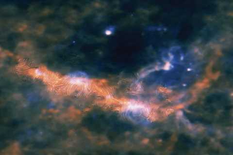 How Magnetic Fields Control Galactic Growth