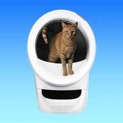 Whisker Litter-Robot 4 review: This $700 self-cleaning litter box outperformed every other box we..