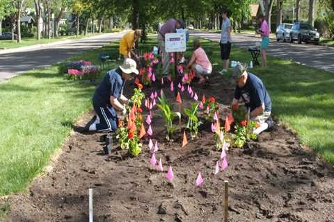 Make a Difference in Colorado Springs: Volunteer Opportunities to Change Your Community