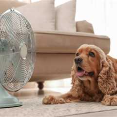 Effective Ways to Keep Your House Comfortable During Summer