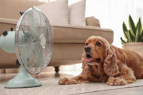 Effective Ways to Keep Your House Comfortable During Summer