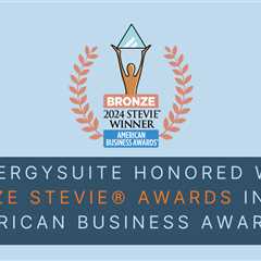 SynergySuite Honored with Bronze Stevie® Awards in 2024 American Business Awards®