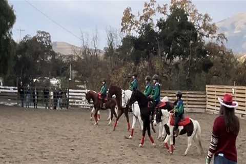 Understanding the Cancellation Policy for Riding Arenas in Contra Costa County, CA