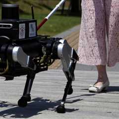Chinese robot 'guide dog' could help the visually impaired — it's even a talking dog