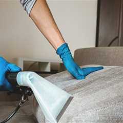 Why Maid Services Are The Ideal Alternative To Carpet Cleaning Service In Tallahassee