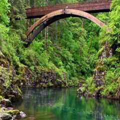 Discovering the Natural Wonders of Clark County, WA