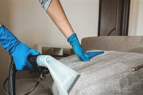 Why Maid Services Are The Ideal Alternative To Carpet Cleaning Service In Tallahassee